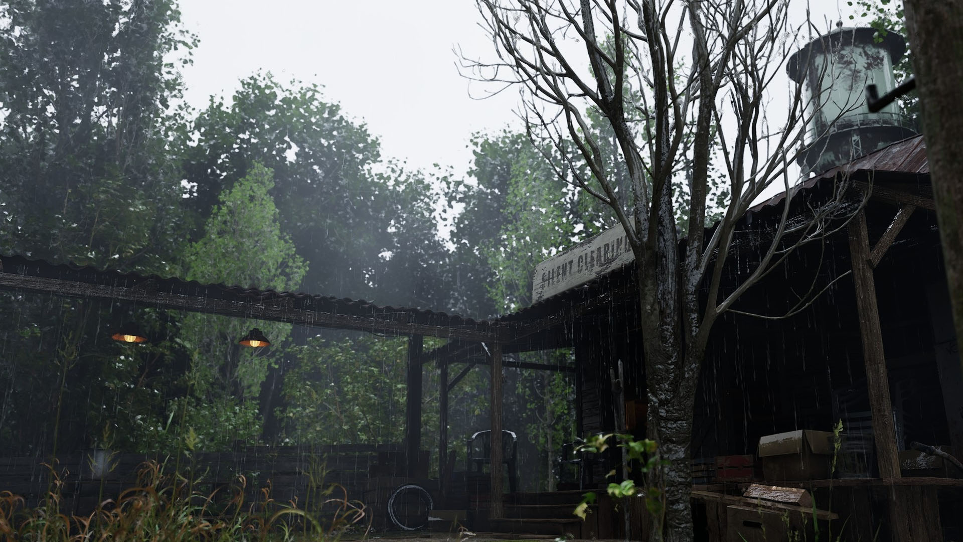Forest Doesn't Care development image 11_1