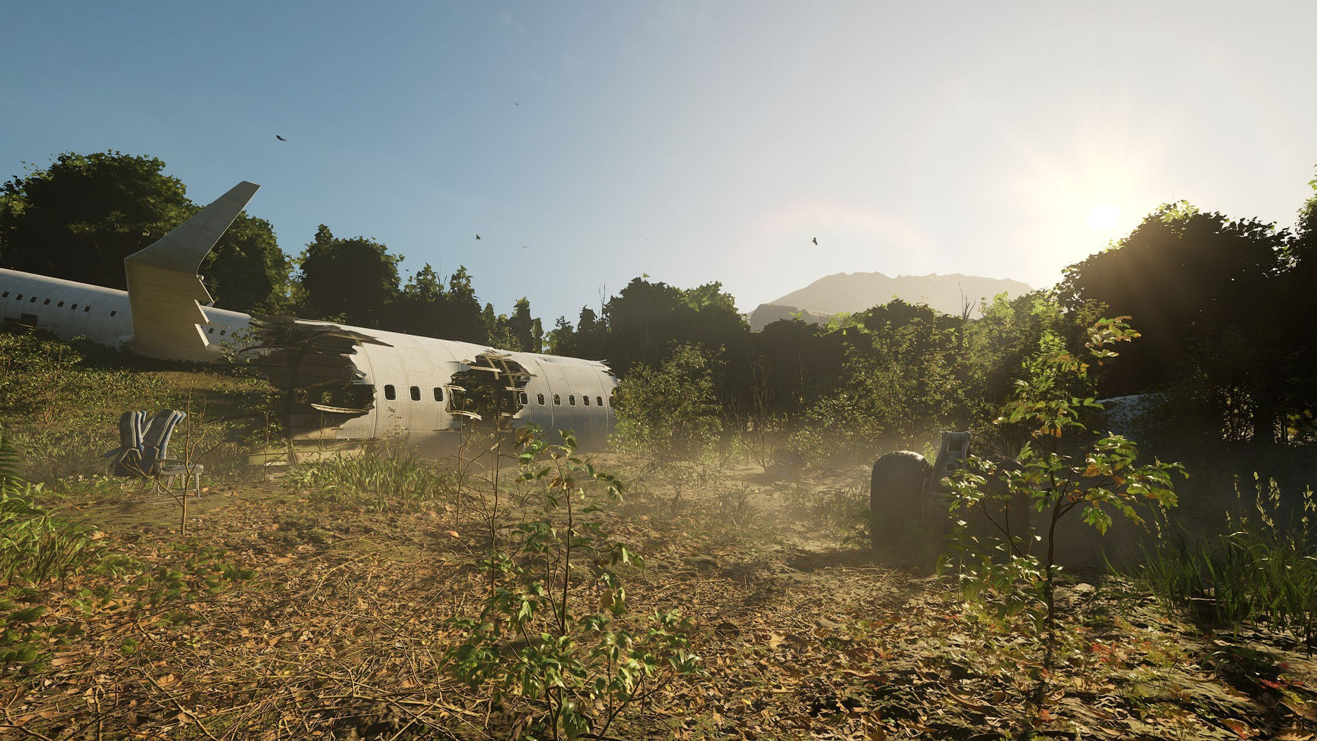 Forest Doesn't Care development image 11_2