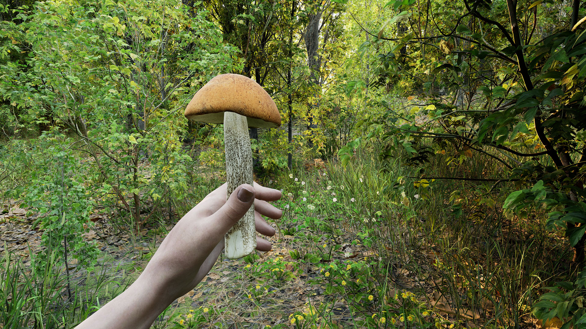 Forest Doesn't Care development image 2_1