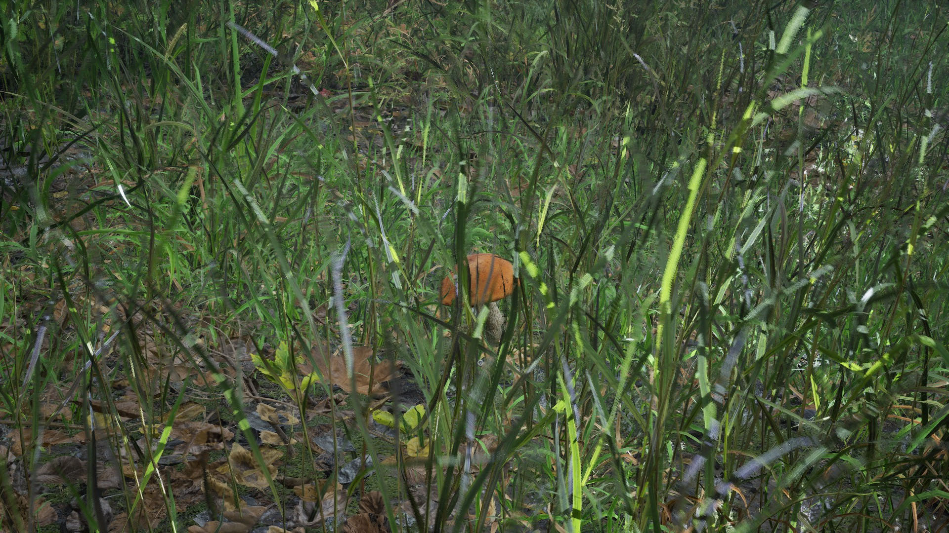 Forest Doesn't Care development image 2_2