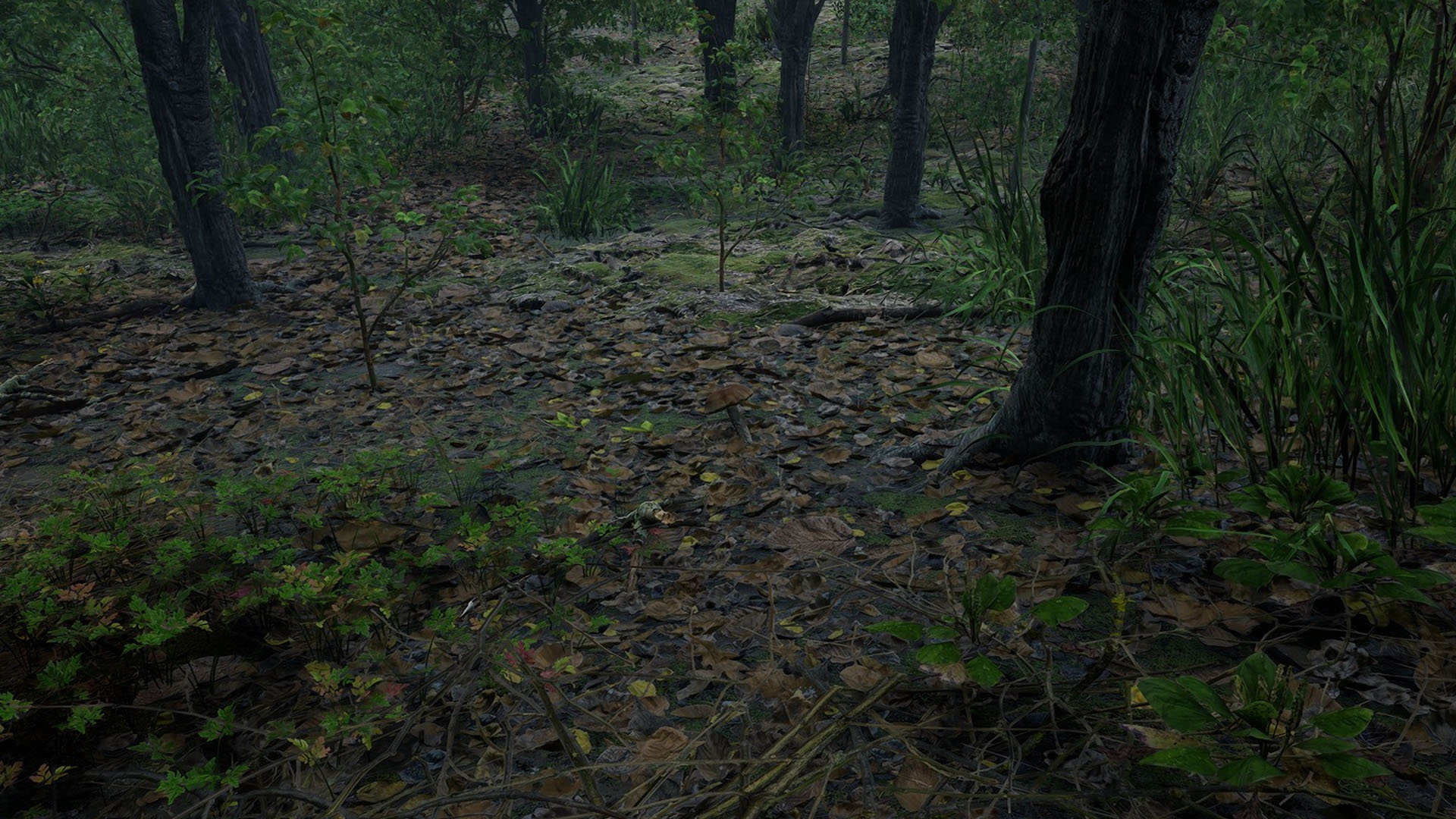 Forest Doesn't Care development image 2_3