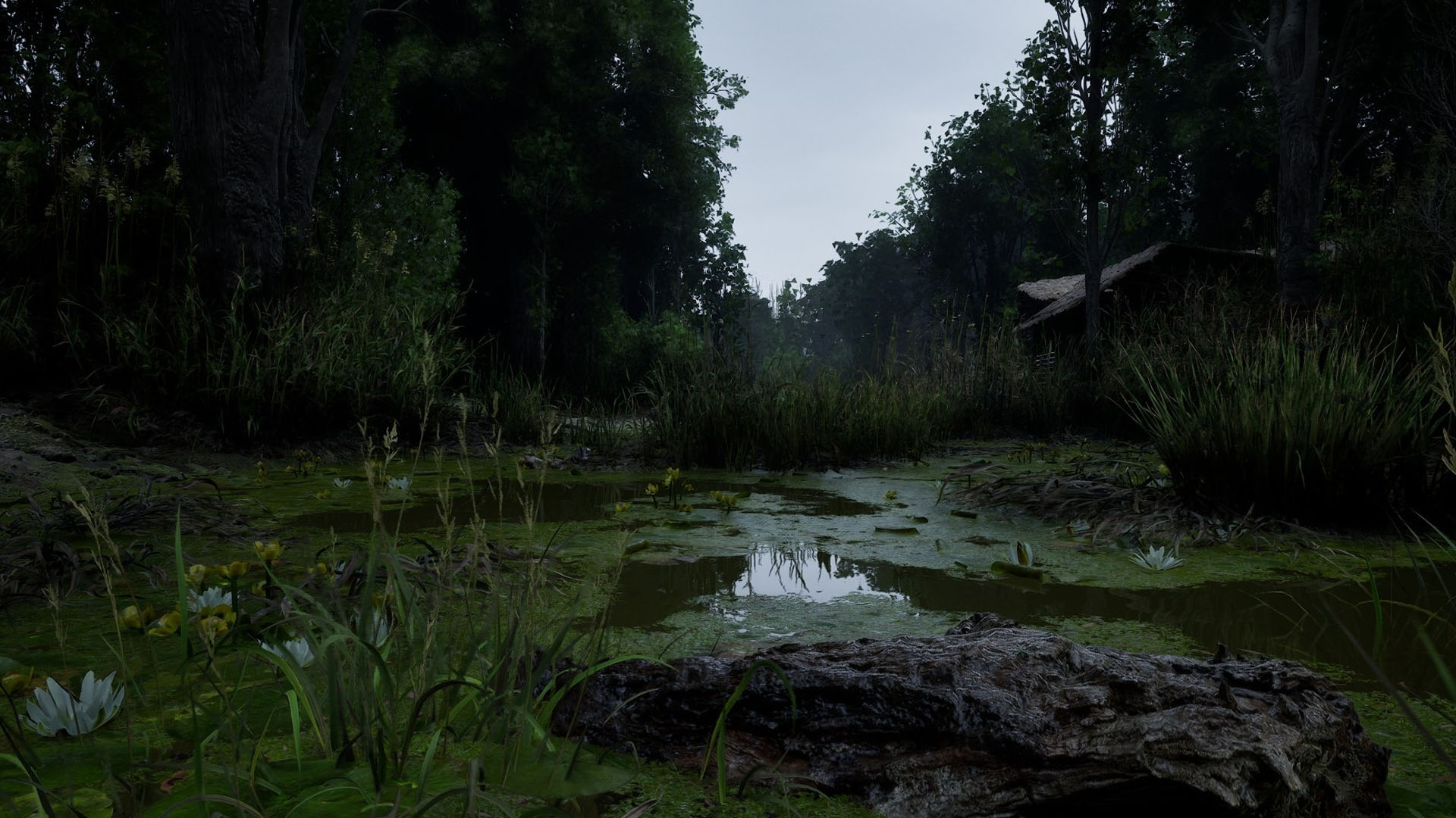 Forest Doesn't Care development image 3_1