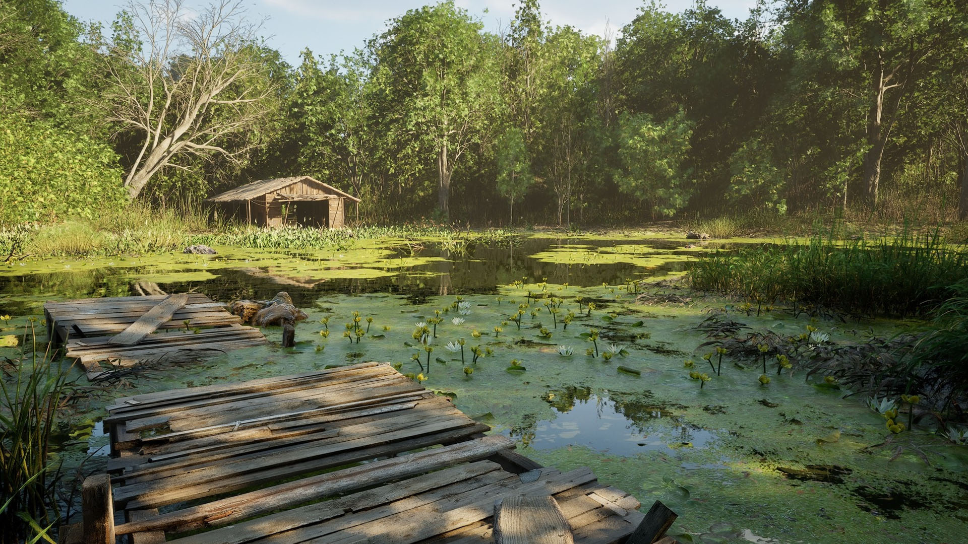 Forest Doesn't Care development image 3_2