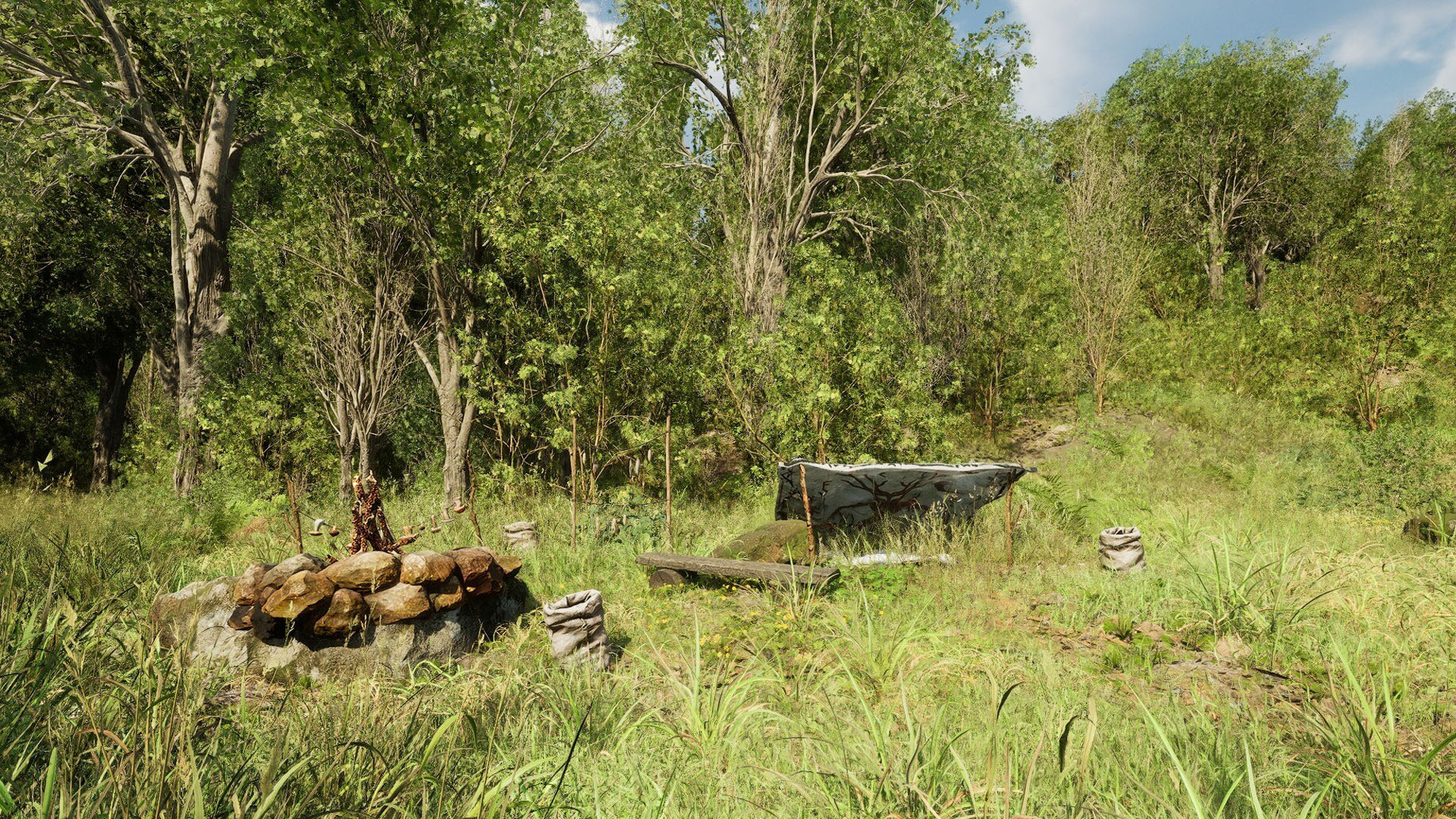 Forest Doesn't Care development image 3_4
