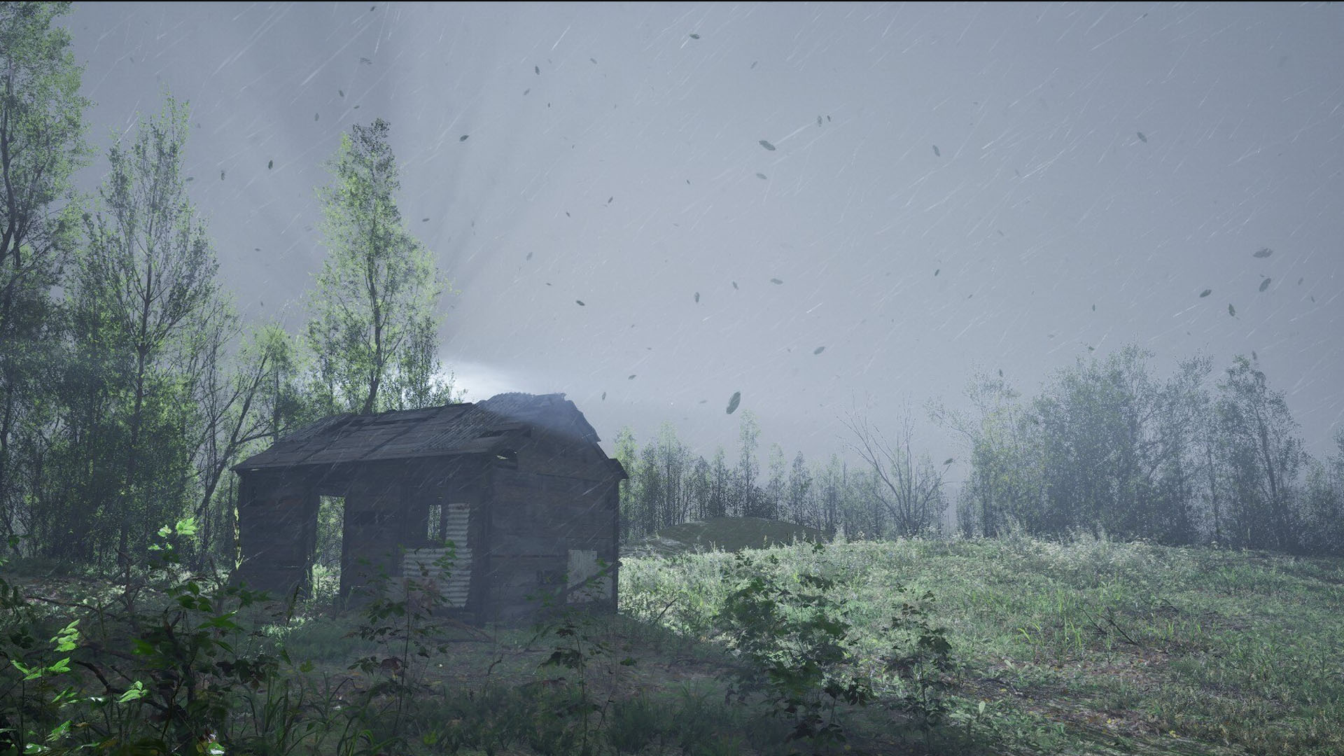 Forest Doesn't Care development image 5_2