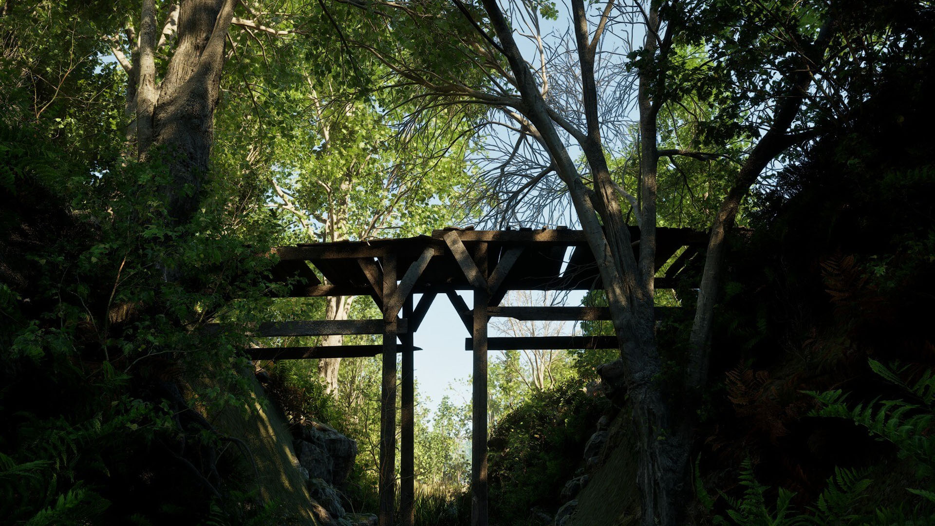 Forest Doesn't Care development image 5_3